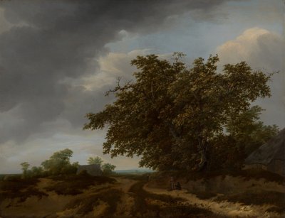 Landschap aan de duinzoom door Jan Vermeer van Haarlem